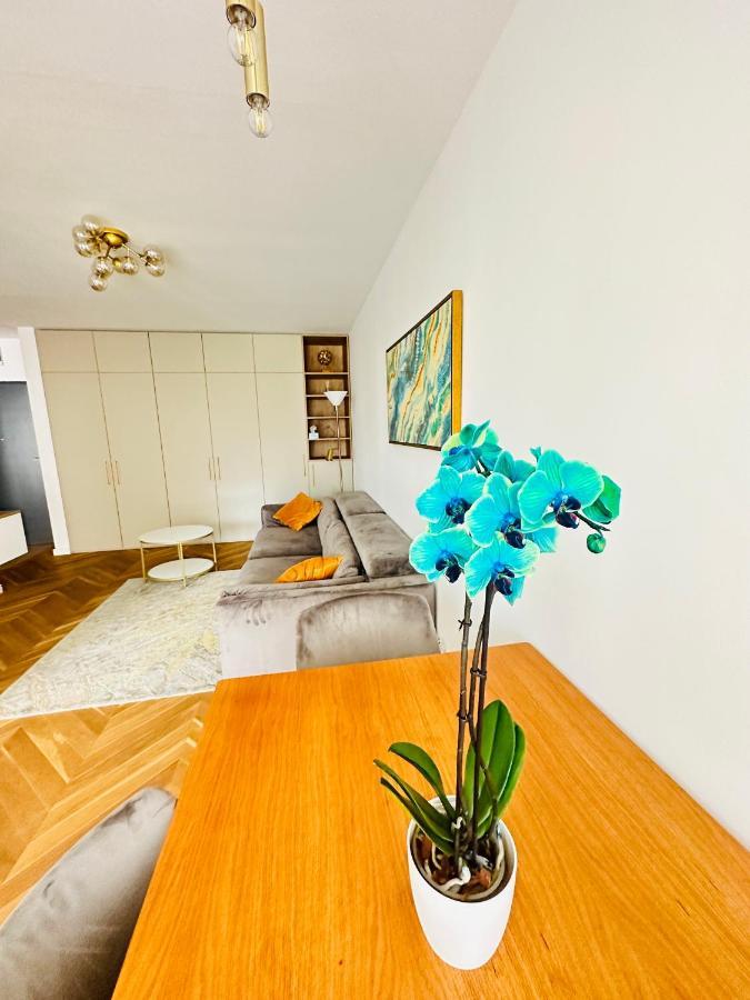 Bel Dom - The Central, Spacious 2 Rooms Luxury Apartment Κλουζ-Ναπόκα Εξωτερικό φωτογραφία